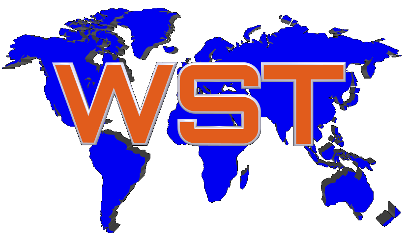 Logo Webmaster Service Tenerife